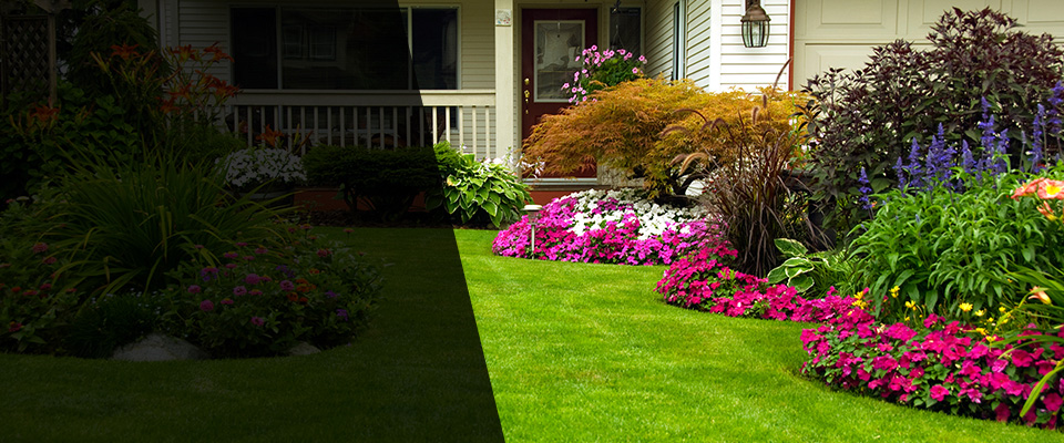 Whitsett Landscapers
