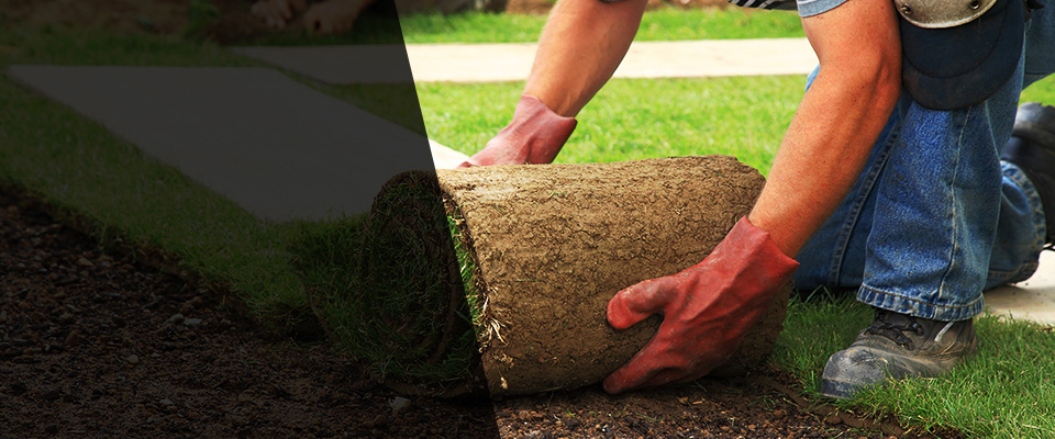 Whitsett Landscapers
